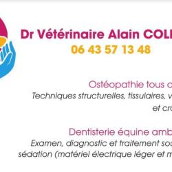 Collard Alain