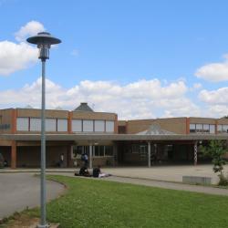 Collège Asa Paulini