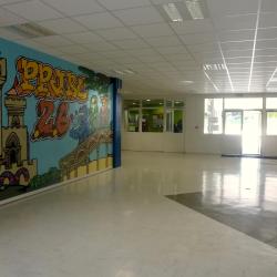 Collège Pablo Picasso
