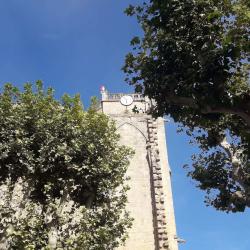 Collégiale Saint-étienne