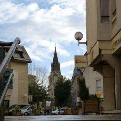 Collégiale Saint Martin De Brive