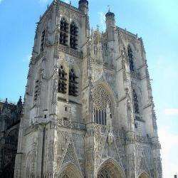 Collégiale Saint Vulfran