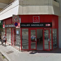 Collier Immobilier Chalon