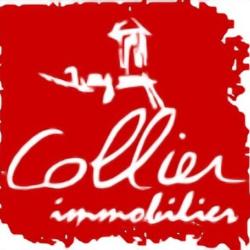 Collier Immobilier