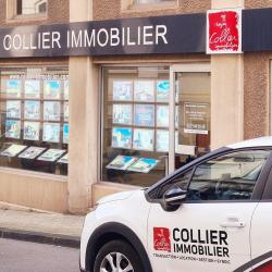 Collier Immobilier