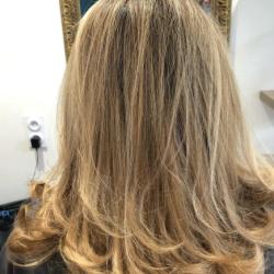 Color Cut