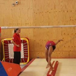 Comite Departemental De Gymnastique