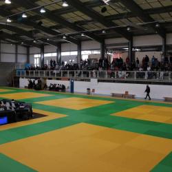 Comite Departemental De Judo
