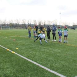 Comite Departemental De Rugby