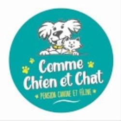 Comme Chien Et Chat
