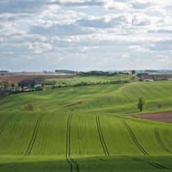 Communauté De Communes Lomagne Tarn Et Garonnaise