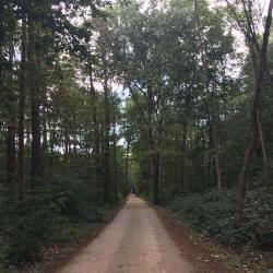 Arche De La Nature