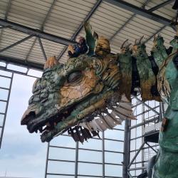 Compagnie Du Dragon De Calais