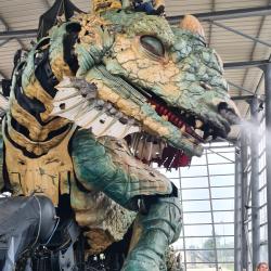 Compagnie Du Dragon De Calais