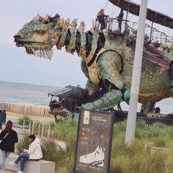 Compagnie Du Dragon De Calais