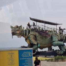 Compagnie Du Dragon De Calais