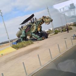 Compagnie Du Dragon De Calais