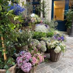 Compagnie Florale Abtan Et Fils