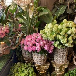 Compagnie Florale Abtan Et Fils