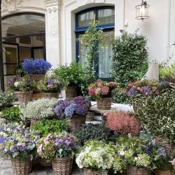 Compagnie Florale Abtan Et Fils