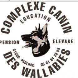 Complexe Canin Des Wallabies