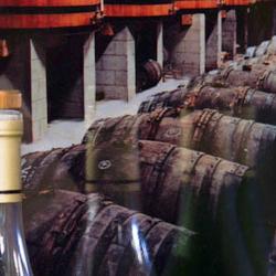 Comptoir Des Vignes - Cave Vignau