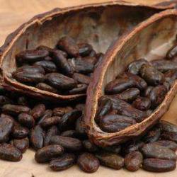 Comptoir Du Cacao