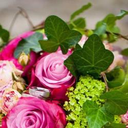 Comptoir Des Fleurs
