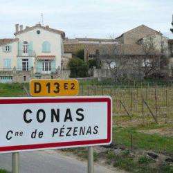 Conas