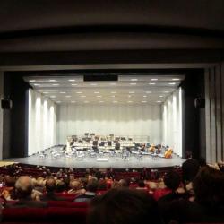 Concert Du Nouvel An