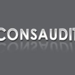 Consaudit
