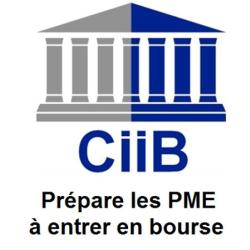 Conseil En Ingénierie Et Introduction Boursière Des Pme-pmi