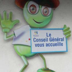 Conseil Général De La Réunion