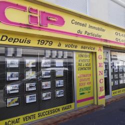 Conseil Immobilier Du Particulier