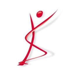 Conseil Ordre Masseurs Kinésithérapeutes