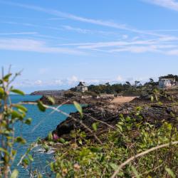 Conseiller Immobilier