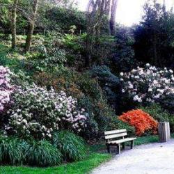 Conservatoire Botanique