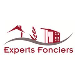 Constans Richard Rc Expertise