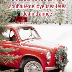 Contrôle Technique Chicauto Contrôles - Tavel