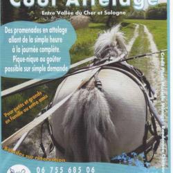 Cool Attelage
