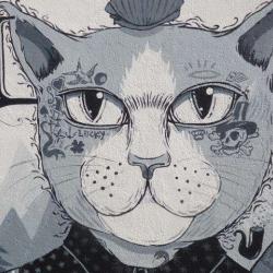 Cool Cats