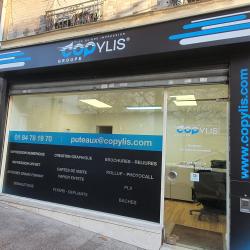 Copylis