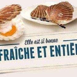 Coquilles-saint-jacques