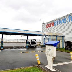 Cora