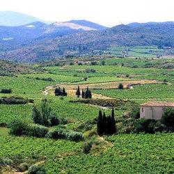 Corbières