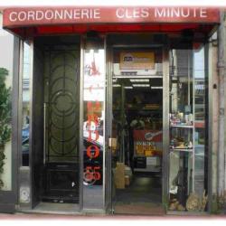 Cordo 55