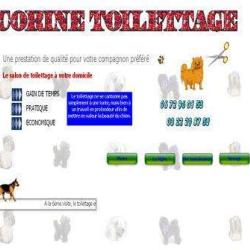 Corine Toilettage à Domicile