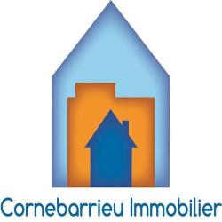 Cornebarrieu Immobilier