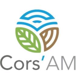 Cors'am