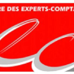 Corse Experts